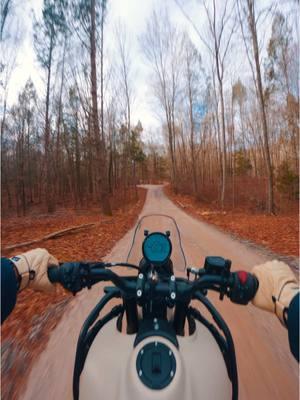 Riding through these quiet, tree-lined paths feels like a meditation on two wheels. The gentle song of the birds, the filtered sunlight dancing on the road, and the crisp air create a moment of raw connection with nature. Where does your bike take you for a little peace and perspective? 🏍️💭 #MotorcycleRide #POV #MotorcycleSound #Mindfulness #Grateful #MotorcycleTherapy #MotorcycleAdventures