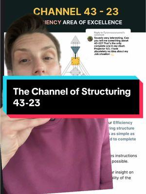 Replying to @Tyrannosaurusmel #greenscreen The Channel Structuring. Gate 43 is the Gate of Insight. Gate 23 is the Gate is Assimilation. #humandesign #humandesigntiktok #humandesigncoach 