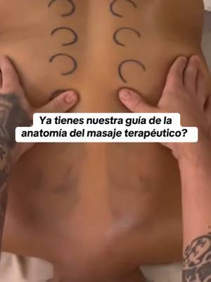 Dale clic al link del perfil para más información sobre nuestra guía de la anatomía del masaje terapéutico #massage #terapia #ebook #guia #aprende #masaje #terapeuta 