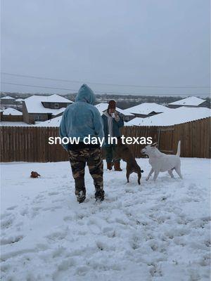 this is so rare & im so happy they got to see snow 😭🥹🫶🏼 @Cara #snowdayintexas #snowday 