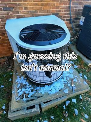 1.9.25 Why? We are not made for the cold around here! @Saltchasers2 #saltchaser #saltchasers2 #oceanlakesfamilycampground #myrtlebeach #Summer #cold #ice #frozen #blizzard  #hvac #help #isthisnormal #heatpump #southern #missingsummer #freezing 