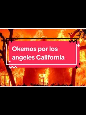 #insendiosforestales #2025 #losangeles