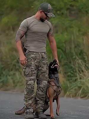 #k9 #dog #trending #tactical #training #trainingdog #dogstraining #dogsoftiktok 