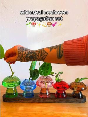 🌱🍄✨💫🍄‍🟫💕✨ #mushroomlove #mushroomart #propagationstation #propagating #waterpropagation #plantlovers #plantloversclub 