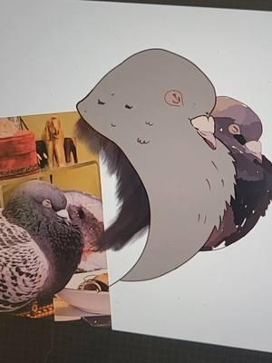 #athousandisalot #pigeonbook #smallartist #rockdove #pigeonlover #pigeonart #art #pigeonlovers #artproject 