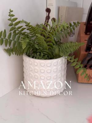 Amazon kitchen decor! 🔗Click the Amazon Storefront link in my bio to SHOP #foryoupage #fyp #シviral #viral #affordablehomedecorfinds #amazonhome #homedecor #amazonkitchenfinds #amazonhomedecor 