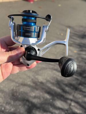 Quantum Strive Spinning Reels might be best bang for your buck in their price range. #jandhtackle #fishing #inshorefishing @quantum.fishing 