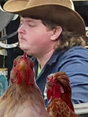 #CapCut #chickenlover #fyp #mullet #farmraised #single #lookingforlove 