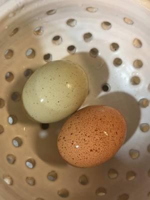 When the beauty is just too good! That Green Queen and Golden Copper Marans just showing off with their speckles! 😍    #MeyerHatchery #fyp #ChickenMath #SpeckledEggs #Marans #40YearsOfExcellence