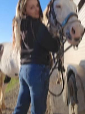 #CapCut yes #heartlandhottie #heartlandhottiereelz #cowgirls #countrygirls #ranchy #cowgirlcheck #cowgirlsoftiktok #tractorgirlsdoitbest #horsegirlwalk #tractorgirls #fyp #cowgirlboots #punchycowgirls #punchyblonde #reelme #heartlandhottieonreelme #recklessnpretty #barebacknpretty #midsouthhottie 