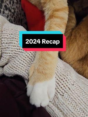 Thank you to everyone who made 2024 one of our best years ever! Excited to see how many more cats we can help in 2025! #cats #catsoftiktok #sheltercats #catshelter #2024recap #2024 #adoptdontshop 