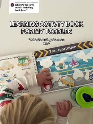 Replying to @Crystal Ann our most used activity book! #toddleractivityideas #toddleractivity #learningactivities #learningactivitiesfortoddlers #screenfreetoddleractivities #screenfreemorning #learningactivitiesforkids #learningactivity #noscreentime #toddlermom 