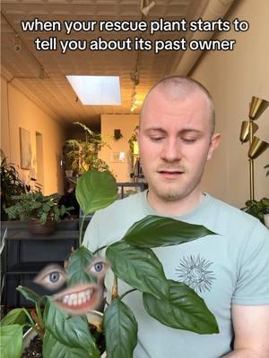 rescue plants at your own risk ☠️🌱😂 #plantparent #plantrescue #plants #plantcare #houseplants #planttiktok #plantsoftiktok #PlantTok #foryou #fyp 