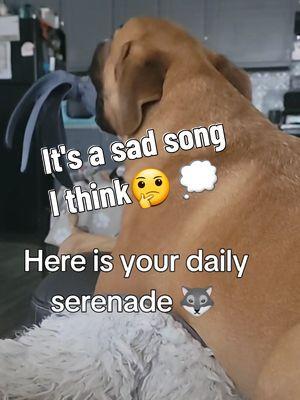 #fyp #d#dogsoftiktok #foryou #foryoupage #4upage #sadsong #maybe #lolli #sheisagirl 