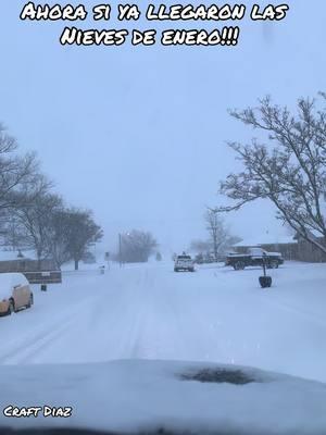 Ya llegaron las Nieves de enero #nievesdeenero #enero #nieve #snow #amarillotx #canyontx #viralvideo #texas 