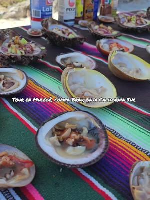 El tour dura 5 horas aproximadamente donde el capitán y marinero busean y sacan variedad de almejas y pescado, todo totalmente fresco del mar al paladar, super recomendados. #Mulegé #bcs #baja #playaelburro #mariscos #delicia #lomejor #sol #arena #mar #México 