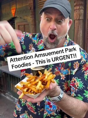 Quick! Follow me on Insta before TikTok goes down... This ban might happen. Want to know where to get the best food at amusement parks? Follow me on Instagram before we lose TikTok! The link is in my bio. #tiktokban #foodies #themepark #themeparkfoodie   #amusementpark #rollercoasters #amusementparks  #foodtiktok #munchmafia #disneyfood 