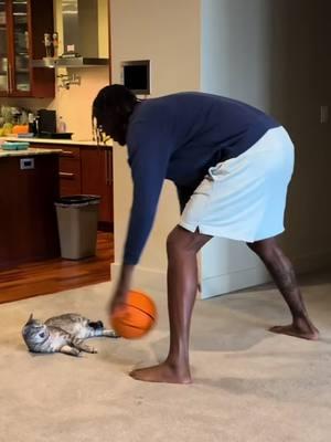 Say Hello To The Future! Your Days Of Scooping Litter Are Finally Over! 🐱 Introducing The @Litter-Robot  #cat #cats #NBA #basketball #fyp #indiana #me #litter #litterbox #maintenance #robot #robotics  #meow #mainecoon #kitten #kittenlovers #egyptianmau #tabby #tabbycat #catlife #instacat #cat #litterbox