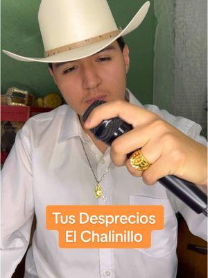 Tus Desprecios #banda #bandasinaloense #musica #musicamexicana #musicaranchera #regionalmexicano #talento #parati #fyp #explore #viral #elchalinillo #vaquero #ranchero #epoca90s #estilo90s 