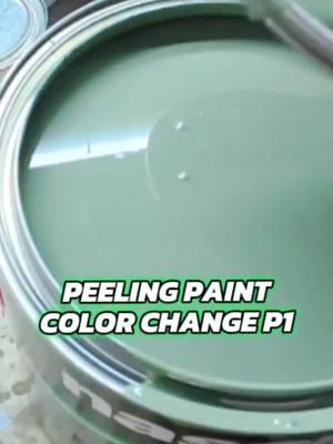 How to repaint your car at home. #CapCut #paintandbody #autopaintingathome #DIY #paintyourcar #autopaintingtips #garagepaintjob #learnautobodyandpaint #autopaint #refinishyourcar 