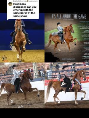 Replying to @Corrine🐴 Showing in different divisions in a nutshell😊 #itsallaboutthegame #saddlebred #saddleseat #westernpleasure 