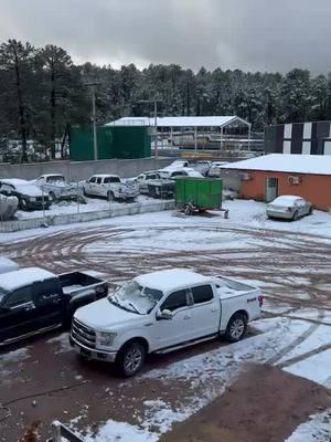 #delasierra #Chihuahua #videos #nieve #2025 #mexico crédito a mi Prima bella, que anda por allá que tomó estos videos 