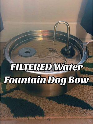 I had to use it before speaking on it, and I genuinely love it you guys. Highlyyyyy recommend #elecricdogbowl #filtereddogbowl #waterbowl  #filteredwater #dogbowl #watersystem #dogs #dogparents #healthydogs 