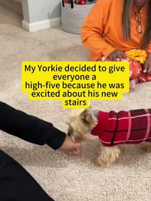 Hey there, let's high-five! 👏 Tagged in all things fun and cute pups 🐾🐕 🎥@Muff💅🏾  #funny #funnyvideo #viral#trendingnow #dogmom #puppyessentials #dogessentials #dogproducts #dogstairs #puppy #puppies #petproduct #dogfashion #ilovedog #cutepuppy #funnydogs #viralvideo #trending