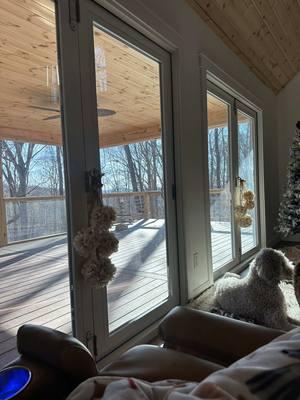 That water is just glistening today. First sun we’ve had in a week and the snow is coming in tomorrow. We will be right here waiting ❄️⚓️☀️ #sunny #lakeview #lakelife #lake #doggy #ourview #kentucky #lakecumberland #sobeautiful #thisview #thankyougod #blessed #fyp 