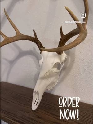 My husband has been working so hard on @buckbracket please go check it out and follow his account! #fyp #SmallBusiness #printing #skulls #shedhunter #shedhunters #solution #mounting #antlers #browngold #proudwife #sahm 