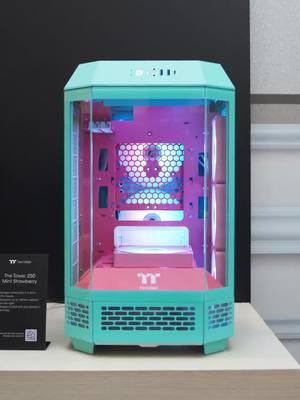 Some delicious new colors are coming to the Tower 250 soon - Mint Strawberry and Butter Caramel! Which is your favorite flavor? 🤤 Learn more about the new colorways as well as the other products we had on display at #CES2025 this year through the link in bio 🔗 #thermaltake #thetower250 #pccase #pcbuilds #itx