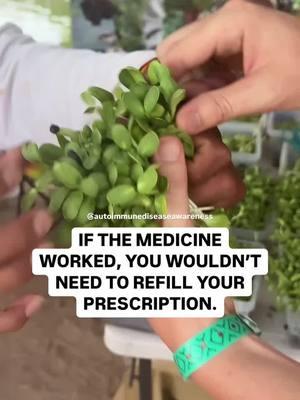 💊 Symptom Management VS. True Healing ⤵️ Through my Feast to Wellness Living Steps… I empower you to move beyond temporary fixes, by nourishing your body with plant-based superfoods, eliminating inflammation and healing organically… without relying on chemical drugs. 🌱💪 These non-toxic living lifestyle steps focus on . . . 🍓 Anti-inflammatory superfood meals that calm your immune system and promote cellular repair. 🥑 Gut-healing protocols to address the root cause of chronic symptoms like leaky gut and inflammation. 🌞 Lifestyle shifts that honor your body’s natural ability to detox—because wellness is more than what you eat. HEALING doesn’t come from masking symptoms. ❤️‍🩹 It starts with giving your body the tools it needs to thrive. Break free from chemical drugs and reclaim your health with every nourishing bite! Are you READY to begin your Feast to Wellness? ⤵️ 🌿 Download Feast to Wellness Living Steps autoimmunediseaseawareness.com #feasttowellness #healingnaturally #plantbasedliving #autoimmunehealth #superfoods #holisticwellness #rootcausehealing #antiinflammatorydiet #guthealthmatters #naturalhealing #chronicillnesswarrior #wellnessjourney #functionalmedicine #wholefoodsdiet #healthylifestyle #cleanliving #healingfromwithin #wellnesstips #detoxyourbody #autoimmunewellness #plantpowered #guthealing #nontoxicliving #mindbodyconnection #foodismedicine 