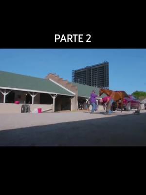 PARTE #2  SUERTE O DESTINO? LAS POSIBILIDADES ERAN MINIMAS ENTRANDO EN ÚLTIMO MOMENTO PARA CORRER EL KENTUCKY DERBY!   #mistikdan #caballos #carreras #KentuckyDerby #documentary 