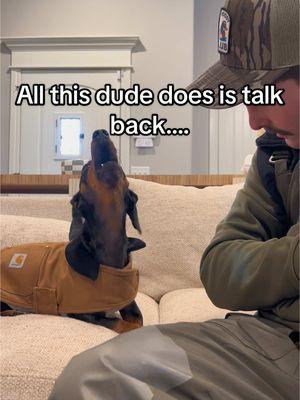 Anyone else have kids like this? DogsofTikTok, #FYP  #DogPhotography, #Puppy, #DogOfTheDay #DogLover, #DogLife #weinerdog #dachshund #sausagedog #dachshundsofinstagram #doxie #dogsofinstagram #puppy #dachshundpuppy #dachshundlove #sausagedogcentral #dachshundoftheday #minidachshund #doxiesofinstagram #dog #miniaturedachshund #doxielove #weinerdogsofinstagram #puppiesofinstagram #dogs #dachshunds #puppylove #sausagedogsofinstagram #dogoftheday #teckel #dachshundlife #wienerdog #dachshundappreciation #dogstagram #instadog #Love