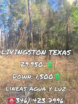 #livingstontexas #landforsaletx #terrenosforsaletexas #forsaletx #sheperdtexas #libertytx 