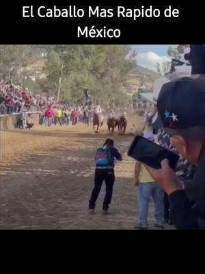 EL CABALLO MAS RAPIDO DE MÉXICO, Y EL OTRO CON JOCKEY ERA EL PAYASO 🤯😵‍💫 #ELPELIGRO  #cuadralaestrella 