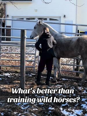 The world needs more equestrians. I’m blessed with sharing our world with the public through riding lessons but what I love even more is when a student wants to learn how to teach. Training isn’t for everyone but when they show an interest I make sure to give them every experience I can. #horsesoftiktok #mustanghorsesoftiktok #horsetok #foryou #foryoupage #fyp #equestriansoftiktok #horsetrainingtiktok #youngequestrian 