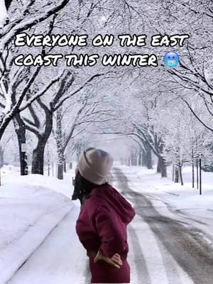 What’s with all the snow this year?? #harshwinter #snow #freezingcold #winterstorm #2025 #doyouwannabuildasnowman #overwinter #eastcoast #northcarolina #virginia #757 #252 #Meme #MemeCut #memenatal 