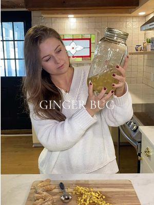 Ginger Bug🤍 Great for gut health and more 2 cups of filtered water 2 tbsp of sugar 2 tbsp of ginger, chopped Make sure you wash your ginger but leave the skin on Add all ingredients to a jar and keep a loose lid on it or cover with a cloth. Store away so it can ferment.  I’ll update a full how to once I’ve successfully made it! #gingerbug #fermentation #kombucha #probiotics #homestead #homemaking #holistichealth #crunchy #homemade #guthealth #wellnesstips 