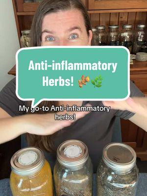 My favorite anti-inflammatory herbs! 🫚🌿 This is for educational purposes only!  #herbalism #herbalist #antiinflammatory #antiinflammatoryherbs #ginger #turmeric #nettle 