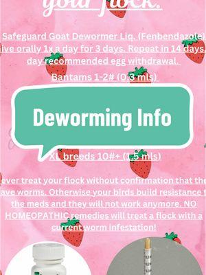 Don’t spread misinformation! 🚫 Free range chickens can get parasites from wild birds, meaning at some point, your chickens will need to be dewormed. (If you do not free range, you won’t have to deworm much, if at all).  Always make sure to get a fecal sample done (unless you see worms) to ensure your birds ACTUALLY have worms before deworming them. You do not want them to build resistance to the dewormer.‼️  #chickens #facts #didyouknow #pets #chickenlady 