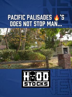 #hoodstocks #pacificpalisades 