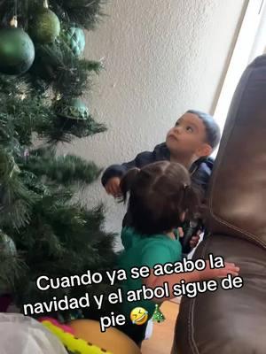 So whos taking the tree down? #christmastree #navidad #kidsbelike #travieso #traviesos #ninos #arboldenavidad #arbol #OhNo #ohnono 