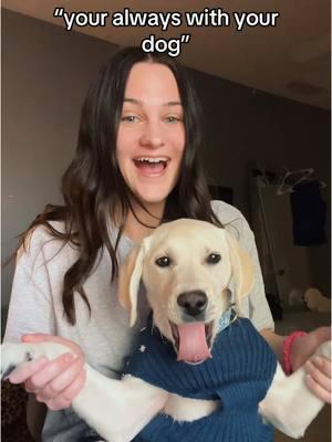 if poppy’s not going, i’m not going perioddd. she’s looking very studious in her turtleneck. #labradorretriever #labrador #puppy #puppiesoftiktok  #dogsoftiktok #dogmom #dogparentsoftiktok #dogreality #funnydogvideos #fypシ #thatsthewayilikeit 