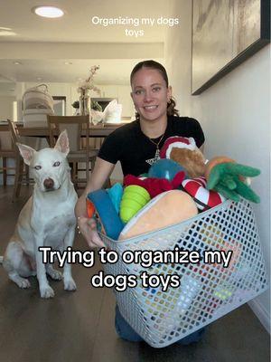 He’s one spoiled dog that’s for sure 🤭 #dog #dogtoys #pets #doglover #dogowner #dogenrichment #puppy #organization 