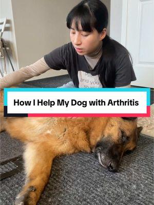 How I Help My Senior Dog with Arthritis: Improving Flexibility and Range of Motion as He Ages #stretches #canineconditioning #caninefitness #dogfitness #seniordog #germanshepherd #dogmom #dogparents #doghealth #dogwellness 