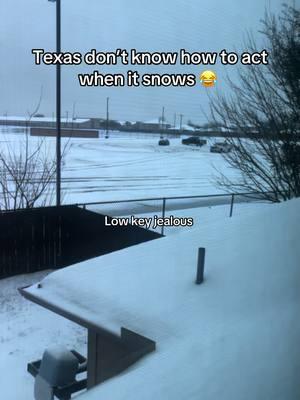 Dallaska is here! #snow #texaswinterstorm #winter #dallaska #sledding #ohwhatfun #jan2025h