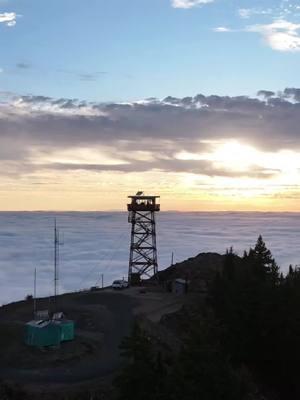 Formal introduction to Fairview lookout tower. #firelookout 