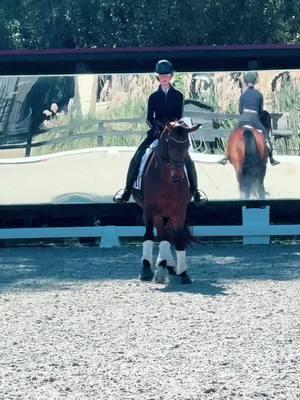 fun day dancing with Happy 💃🏻😁 1st day training shoulder in and leg yield 😅 🤩 #dressageishard #dressage #youthdressage #dutchwarmblood #kwpn #happykhan #samshield #equestrian #happy 