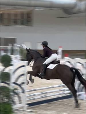 Take me back. Ill take a baby horse stop at jump ten over being in this office. #babyhorseintraining #wecocala #whrxceptional #horseshowsarefun 